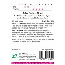 Aster Duchess Mixed