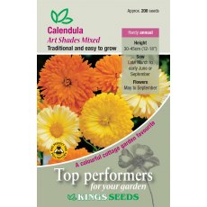 Calendula Art Shades Mixed
