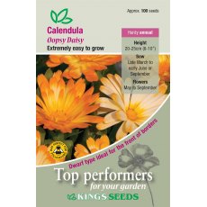 Calendula Oopsy Daisy