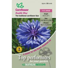 Cornflower Double Blue
