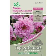 Cosmos Double Click Rose Bon Bon
