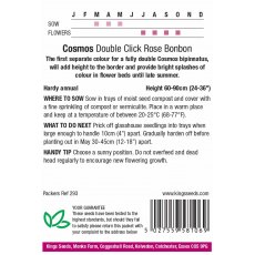 Cosmos Double Click Rose Bon Bon