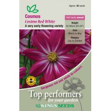 Cosmos  Cosimo Red-White