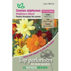 Cosmos Brightness Mixed