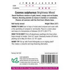 Cosmos Brightness Mixed