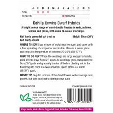 Dahlia Unwin Dwarf Hybrids