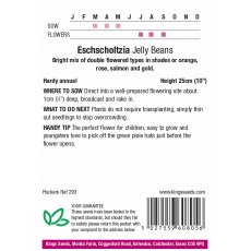 Eschscholtzia Jelly Beans