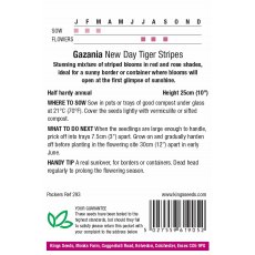 Gazania  New Day Tigers Stripes
