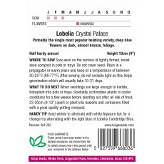 Lobelia Crystal Palace