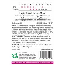 Lupin Russel Hybrids Mixed