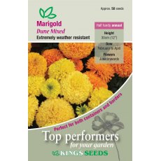 Marigold African Dune Mixed