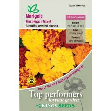 Marigold French Durango Mixed