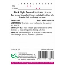 Stock Night Scented