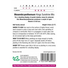 Mesembryanthemum Kings Sunshine Mix