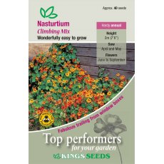 Nasturtium Climbing Mixed