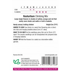 Nasturtium Climbing Mixed