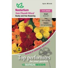 Nasturtium Tom Thumb Mixed