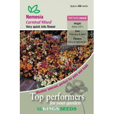 Nemesia  Carnival Mixed
