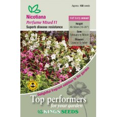 Nicotiana Perfume Mixed F1