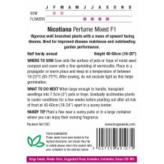 Nicotiana Perfume Mixed F1