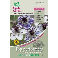 Nigella Delft Blue