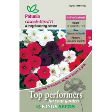Petunia Cascade Mixed F1