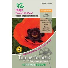Poppy Brilliant Scarlet