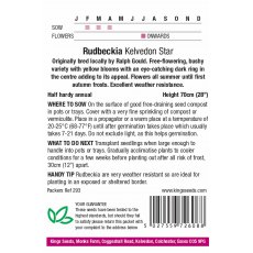 Rudbeckia Hirta Kelvedon Star