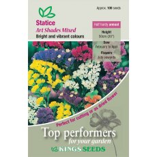 Statice Art Shades Mixed