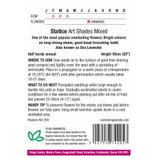 Statice Art Shades Mixed