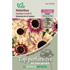 Sunflower Summer Lovin F1