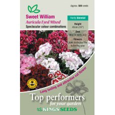 Sweet Wiliam Auricula-Eyed Mixed