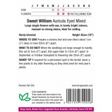 Sweet Wiliam Auricula-Eyed Mixed