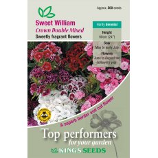 Sweet William Crown Double Mixed