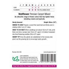 Wallflower Persian Carpet Mixed Wallflower Persian Carpet Mixed