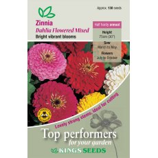 Zinnia Dahlia Flowered Mixed Zinnia Dahlia Flowered Mixed