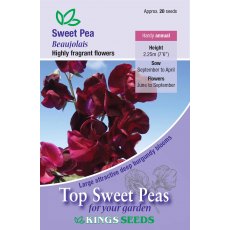 Sweet Pea Beaujolais