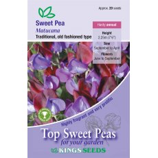 Sweet Pea Matucana