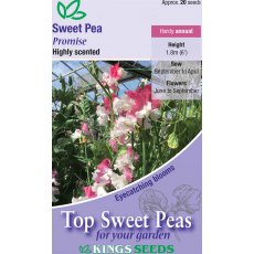 Sweet Pea Sweet Pea Promise