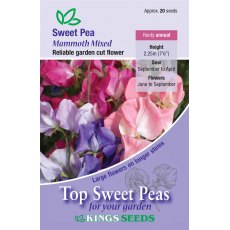 Sweet Pea Mammoth Mix