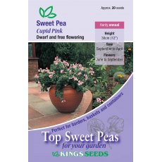 Sweet Pea Cupid Pink