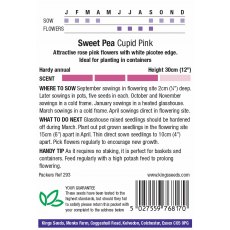 Sweet Pea Cupid Pink