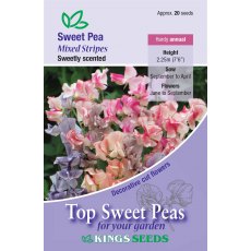 Sweet Pea Mixed Stripes