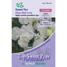 Sweet Pea High Scent