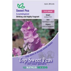 Sweet Pea Leamington