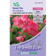 Sweet Pea Mrs R Bolton