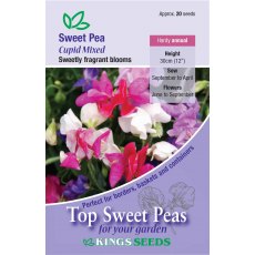Sweet Pea Cupid Mixed