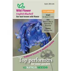 Wild Flower Bluebell Wild Flower Bluebell