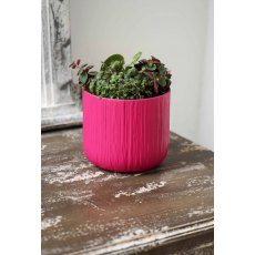 Cyclamen Pot Cover Pink 15cm
