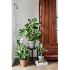 Boston Tiered Planter Khaki H18cm D21cm